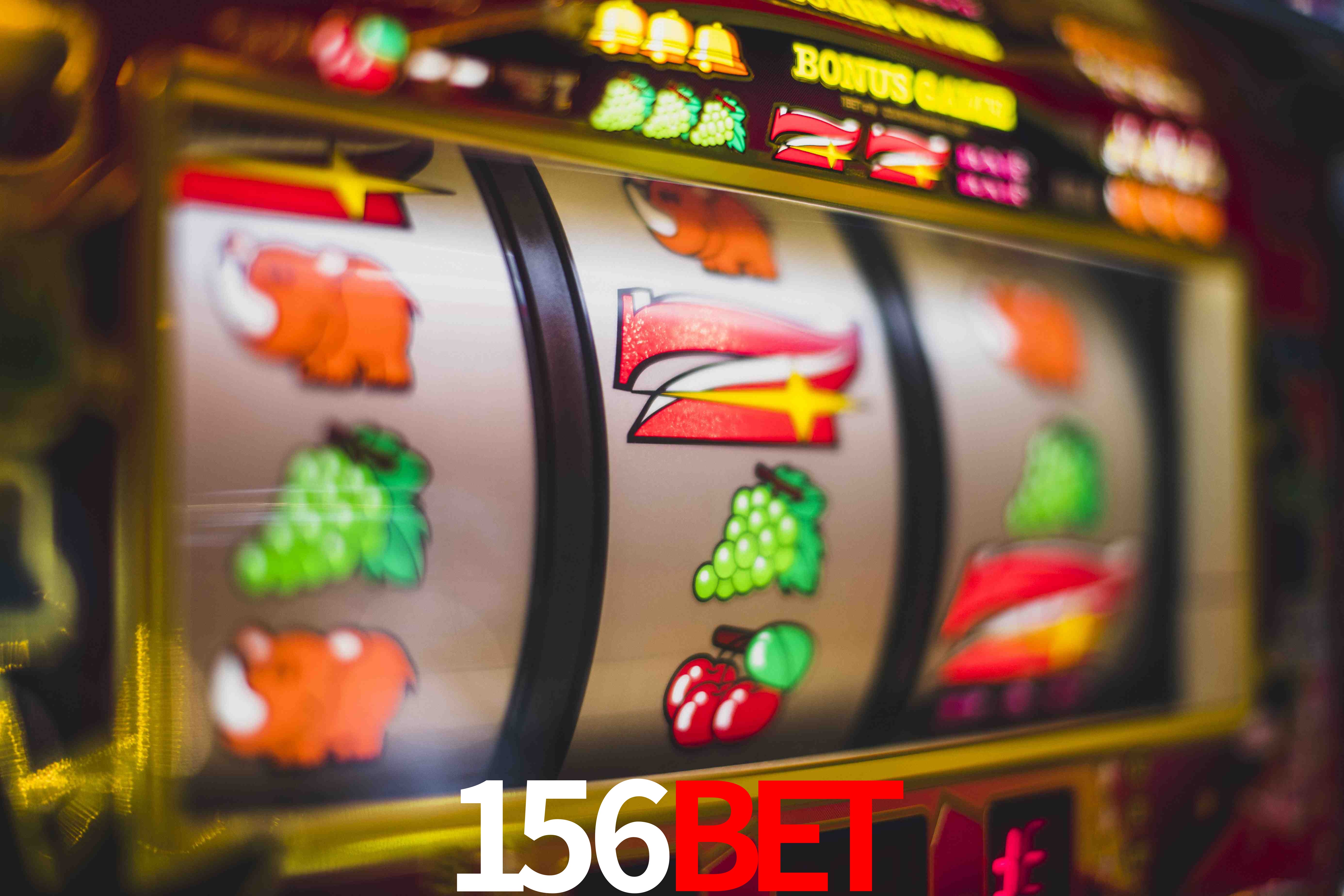 Statistics 156bet